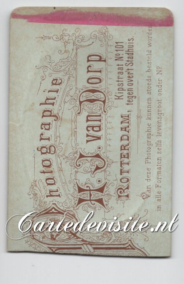 DORP-005-4 - Afbeelding 2