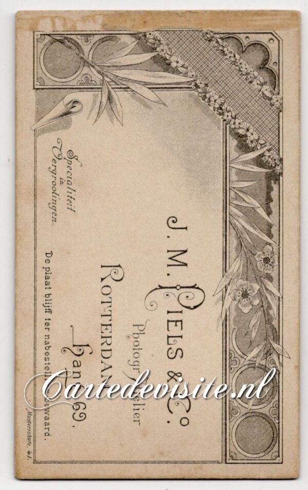 PIELS-002-5 - Afbeelding 2