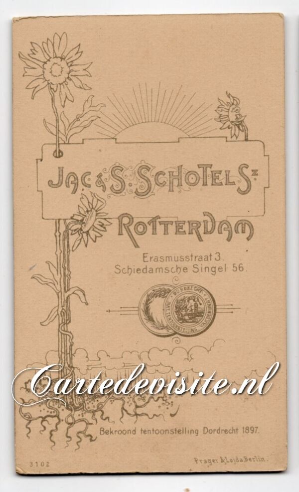 SCHOTEL-013-3 - Afbeelding 2