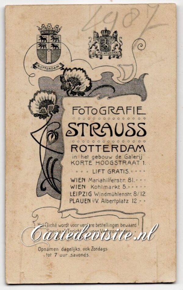 STRAUSS-004-6 (#1987) - Afbeelding 2
