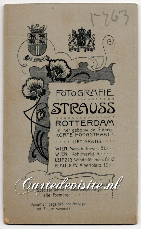 STRAUSS-005-4 (# 5763) - Afbeelding 2