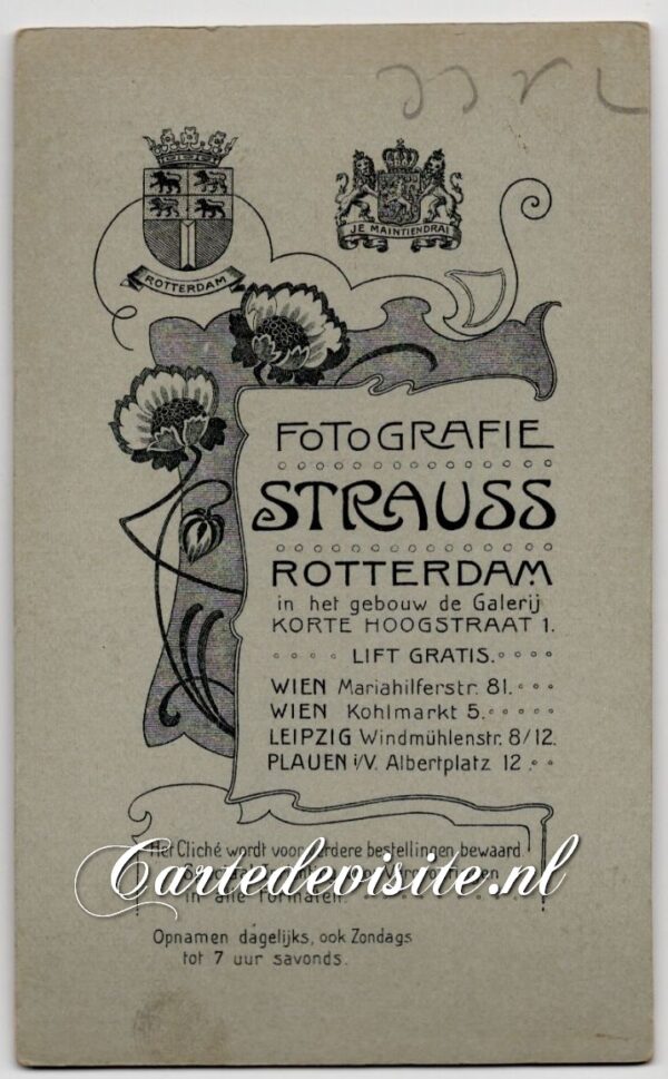 STRAUSS 006-4 (#3351 ?) - Afbeelding 2
