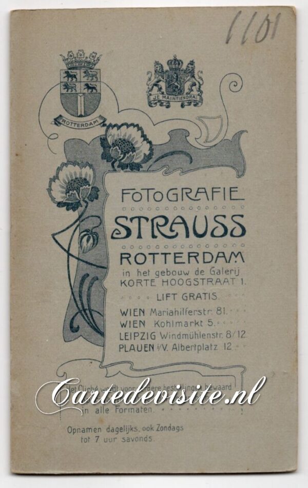 STRAUSS 008-3 (#1101) - Afbeelding 2