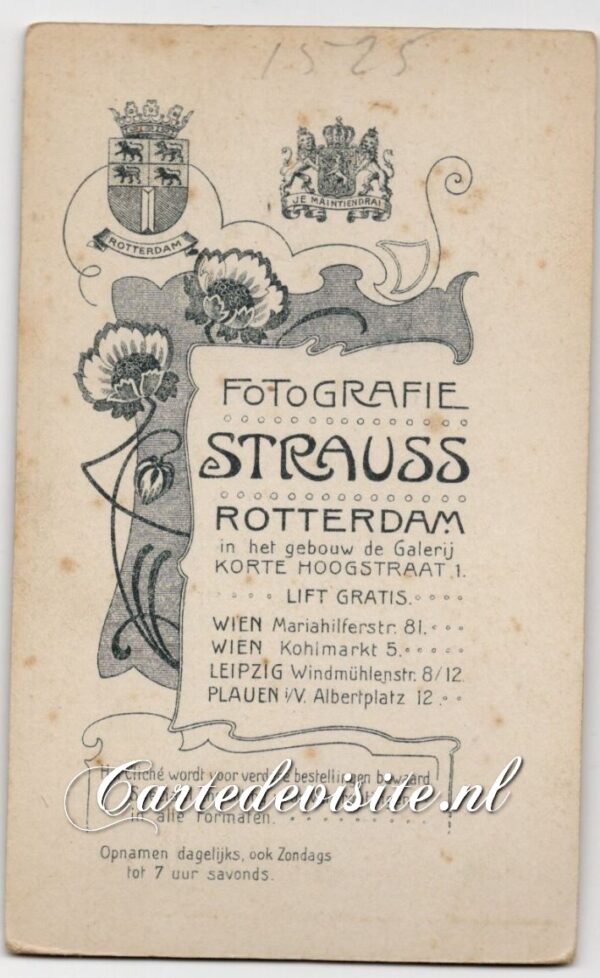 STRAUSS 008-5 (#1525) - Afbeelding 2