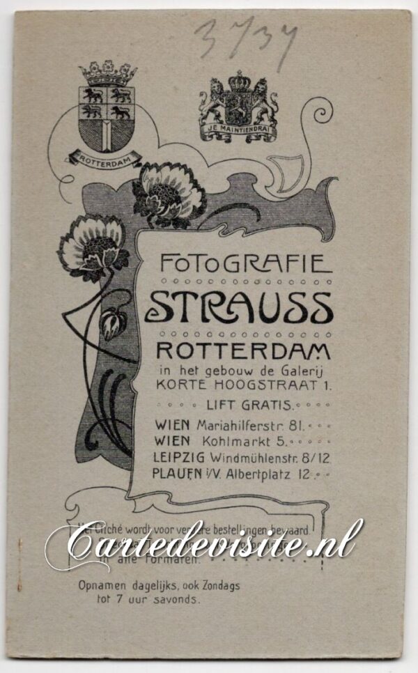 STRAUSS 009-4 (#3737) - Afbeelding 2