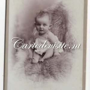 NB/BERGEN OP ZOOM/VAN MELLE/011/maria antonia josephina van Wicheren
